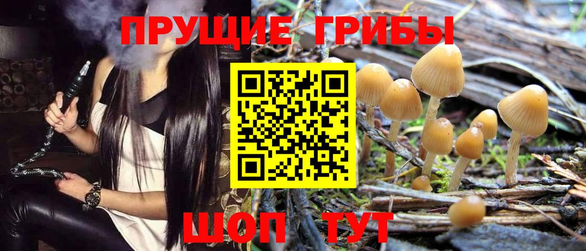 ГАШ Лыткарино