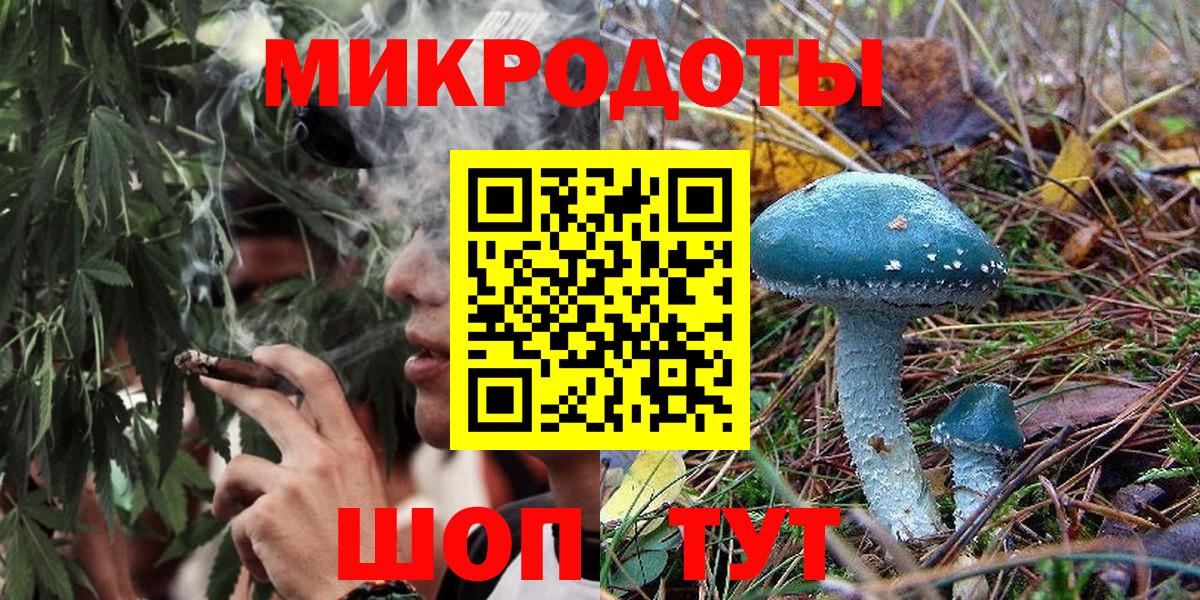 Галлюциногенные грибы Psilocybe Лыткарино