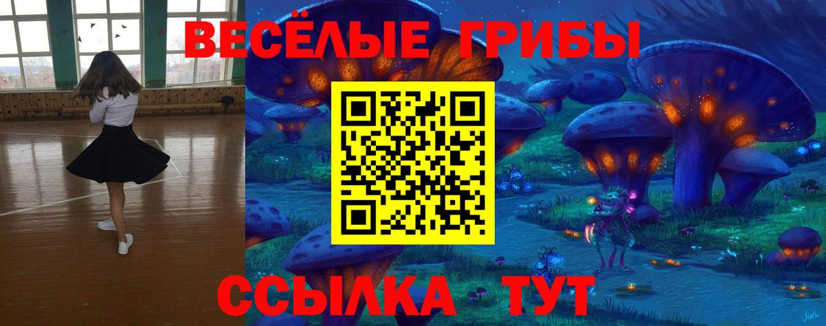 Лыткарино  Псилоцибиновые грибы Psilocybine cubensis  Вход с VPN 